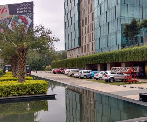 Lessons of Resilience