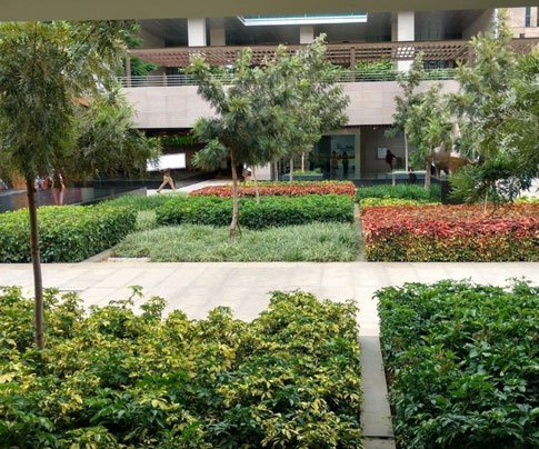 Lessons of Resilience