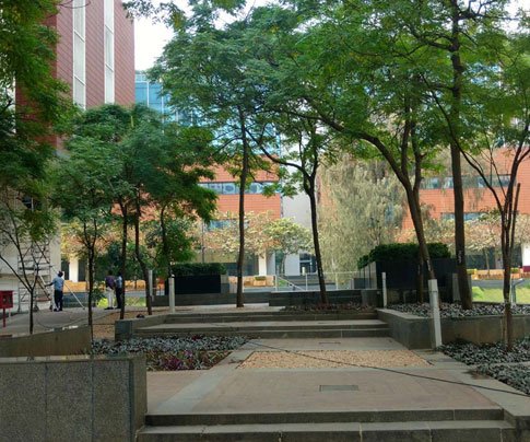 Lessons of Resilience