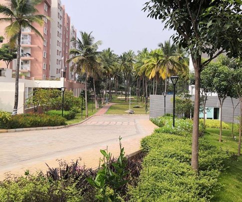 Lessons of Resilience