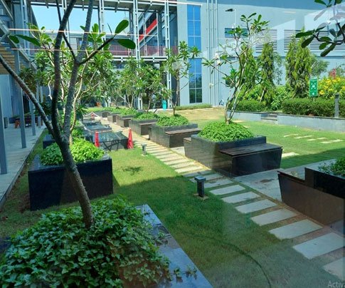 Lessons of Resilience