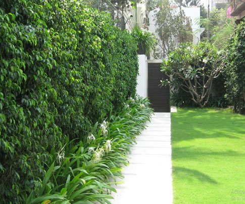 Lessons of Resilience