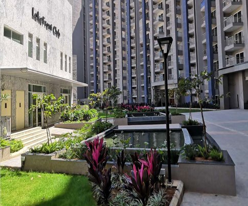 Lessons of Resilience